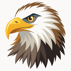 american bald eagle