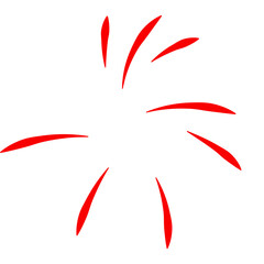 Indonesian Independence Day Firework