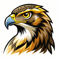american bald eagle