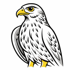 Obraz premium eagle on a white background