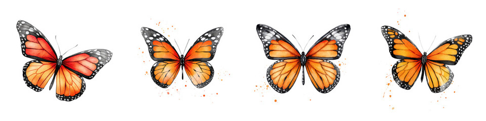 Obraz premium A group of delicate orange monarch butterflies in flight