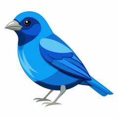 blue bird on a branch