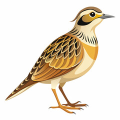 bird on a white background