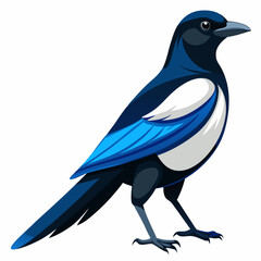 crow on a white background
