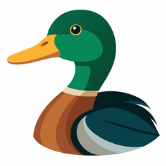 duck vector illustration