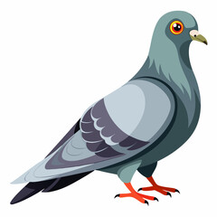 dove of peace