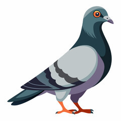dove of peace