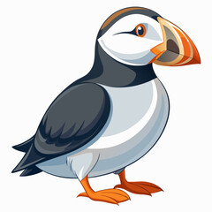 penguin cartoon isolated on white