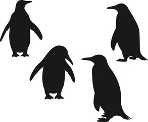 Naklejka premium Seven penguin silhouettes isolated on white background