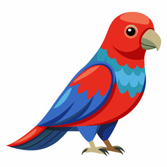 parrot on white background