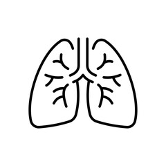 The line icon vector illustrates the anatomy of the lungs. The line icon is isolated on a transparent background and can be edited as needed