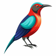bird of paradise