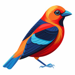 blue and yellow macaw