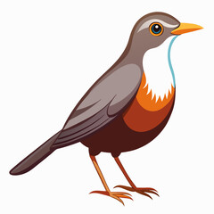 red winged blackbird