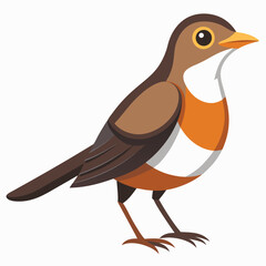 vector illustration of a bird