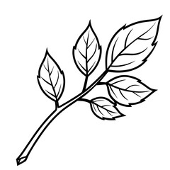 Autumn Branch Sketch Illustration