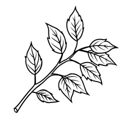 Autumn Branch Sketch Illustration
