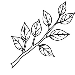 Autumn Branch Sketch Illustration