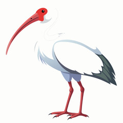 white stork with a baby