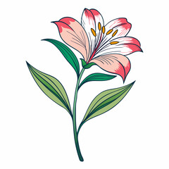 vector illustration of a flower