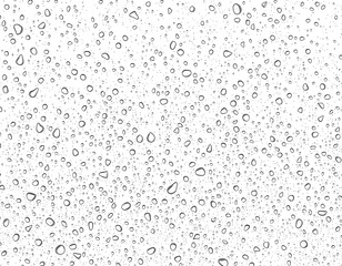 water drops on wet surface isolated on transparent background