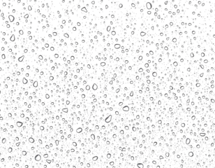 water drops on wet surface isolated on transparent background