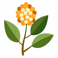 orange flower isolated on white background