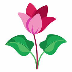 Obraz premium pink flower isolated on white