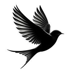 Naklejka premium Elegant black and white bird in flight isolated on transparent background
