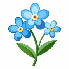 white and blue flowers