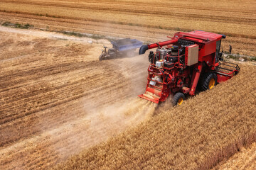 Wheat Harvester Working in Golden Field