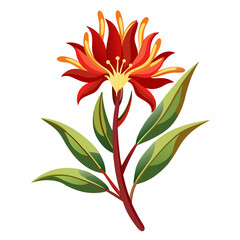 red and yellow flower