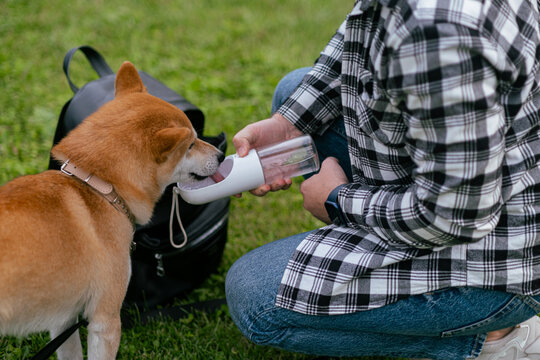 Young man in plaid shirt giving water to his dog from a special bottle during outdoor walk summer park pet care hydration concept companionship