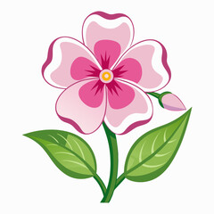 pink flower isolated on white background