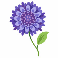 violet flower isolated on white