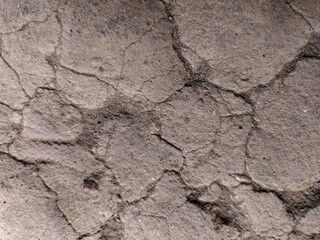 abstract background of dry earth cracks