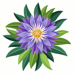 violet flower isolated on white background