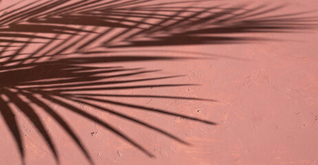 Mediterranean pink terracotta color plaster background with tropical palm leaves shadows. Copy space