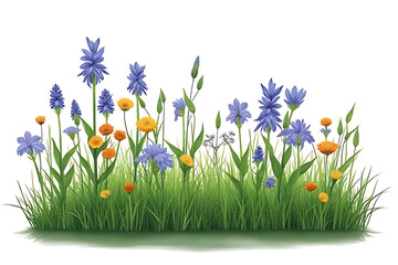 Natural beauty: wild flowers and meadows