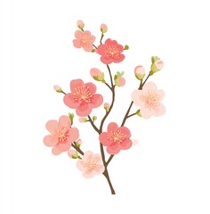 Fototapeta premium Delicate Pink Cherry Blossoms in Full Bloom on a Branch, a Stunning Floral Display