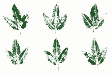 Natural leaves imprint, grunge style, vector, isolated, decorative elements for design