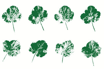 Fototapeta premium Natural leaves imprint, grunge style, vector, isolated, decorative elements for design