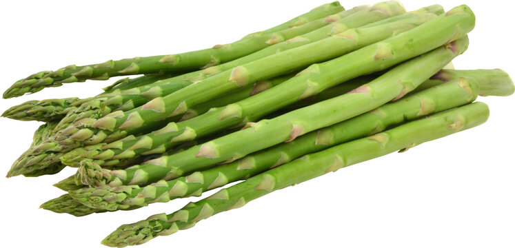Asparagus Without Background