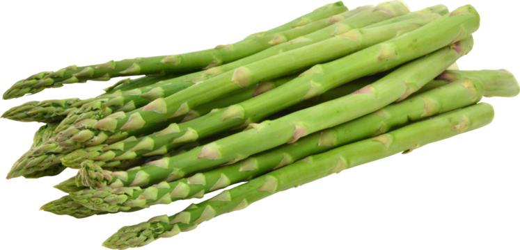 Asparagus Without Background