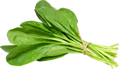 Green Mustards Without Background