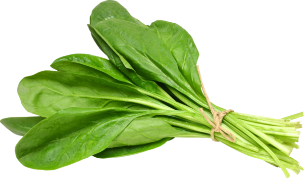 Green Mustards Without Background