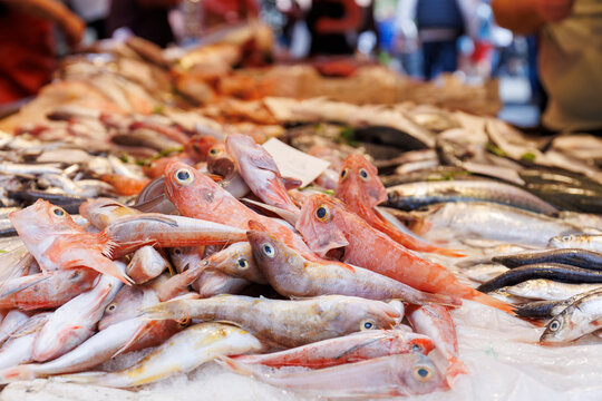 Close-up of a fish stall at the Catania fish market, Sicily