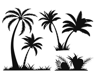 A set of black plam tree Silhouette, Illustration black with white background