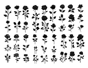 Fototapeta premium Roses flowers black ink vector set. Petals stems garden fresh blooms floral arrangement elegant bouquet wedding decor classic symbolism plants, charm flora isolated illustration on white background