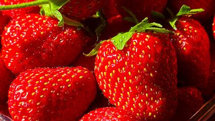 Ripe strawberries picked from the garden. In disposable containers. sale.
